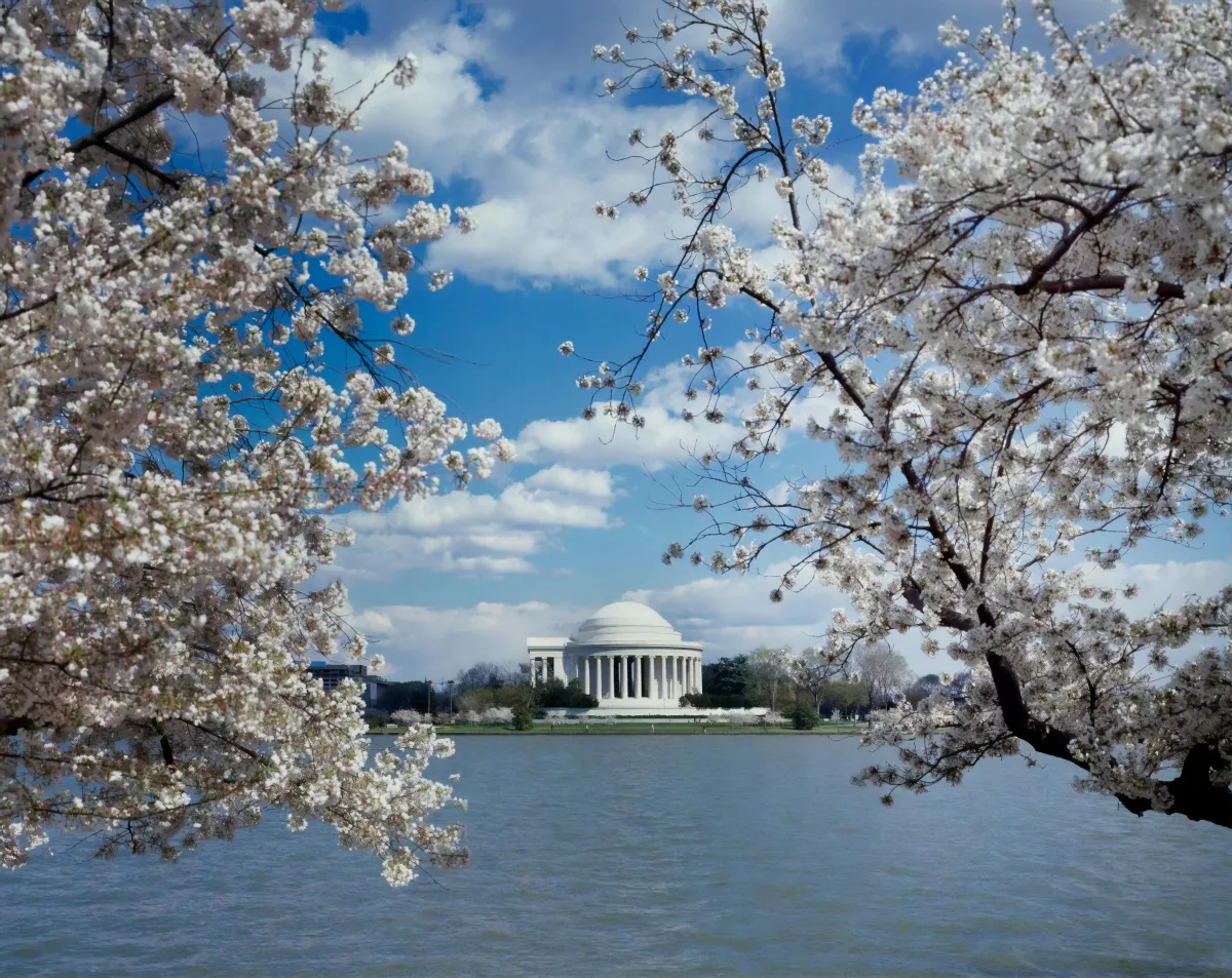 DC Homebuyer Assistance Programs: How to Buy a Home in Washington, DC With Little to No Down Payment