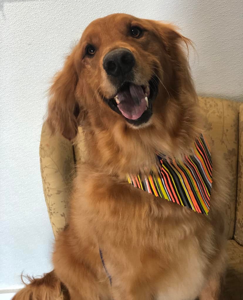 {{ custom_values.service_1 }} in {{custom_values.biz_area_1})