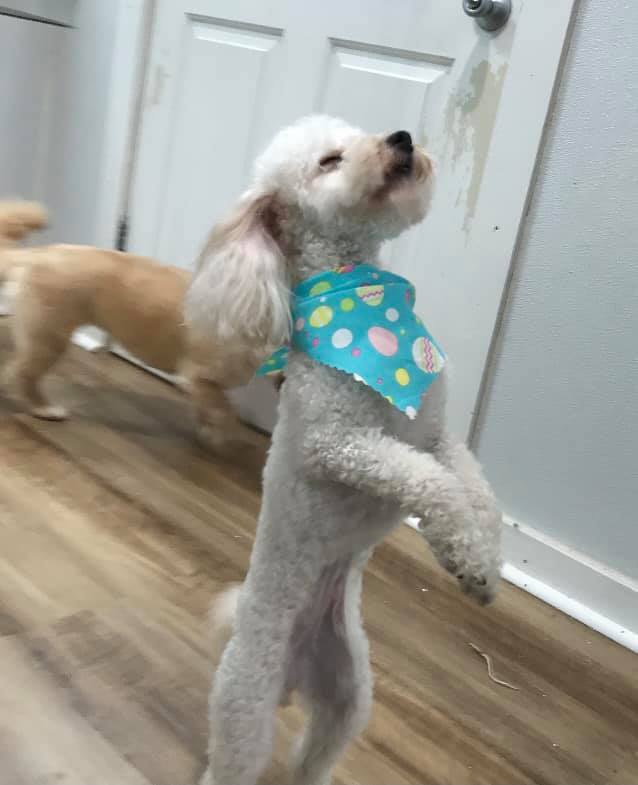 Bath and Groom Only in Monroe