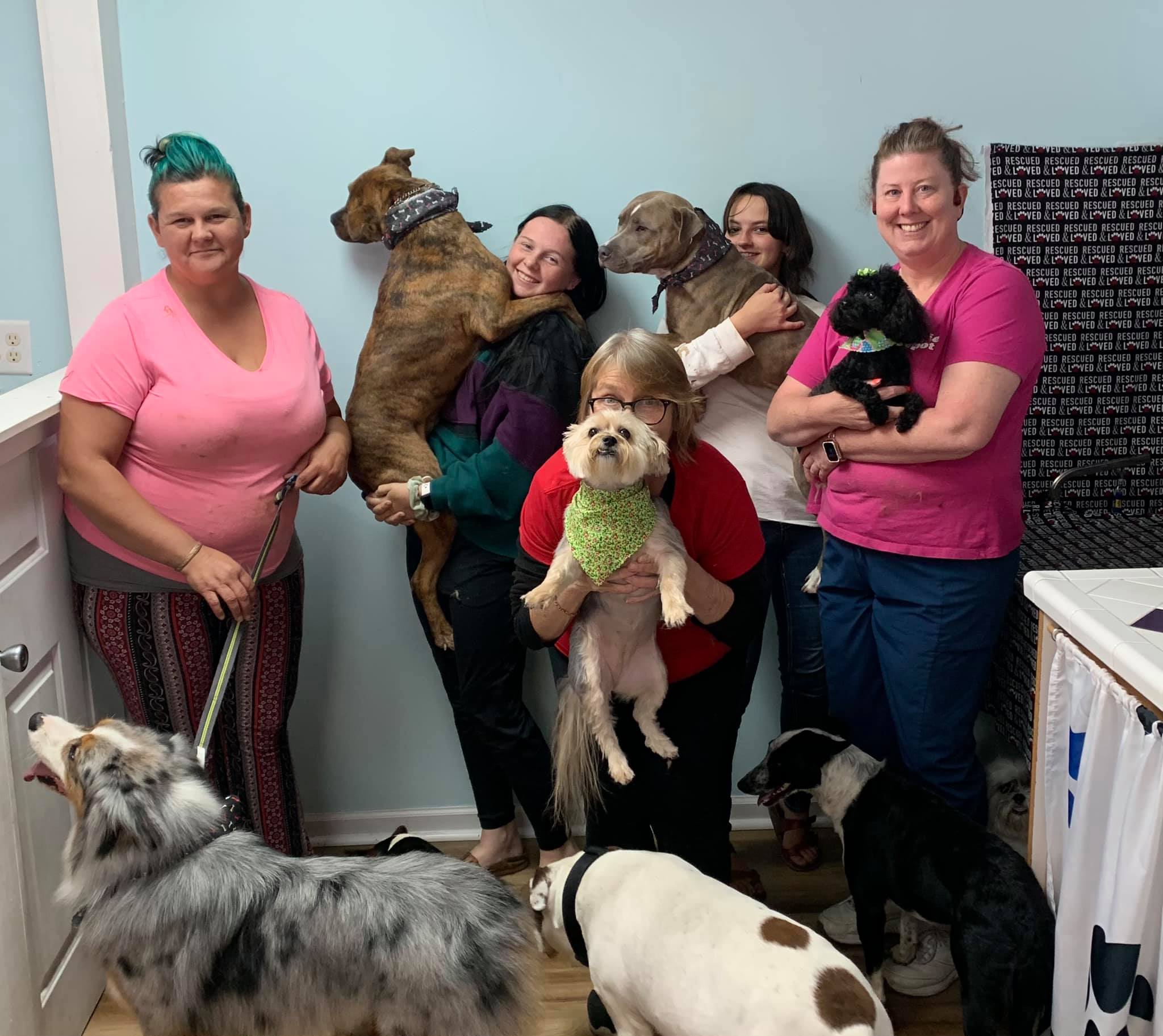 Full Grooming in Monroe