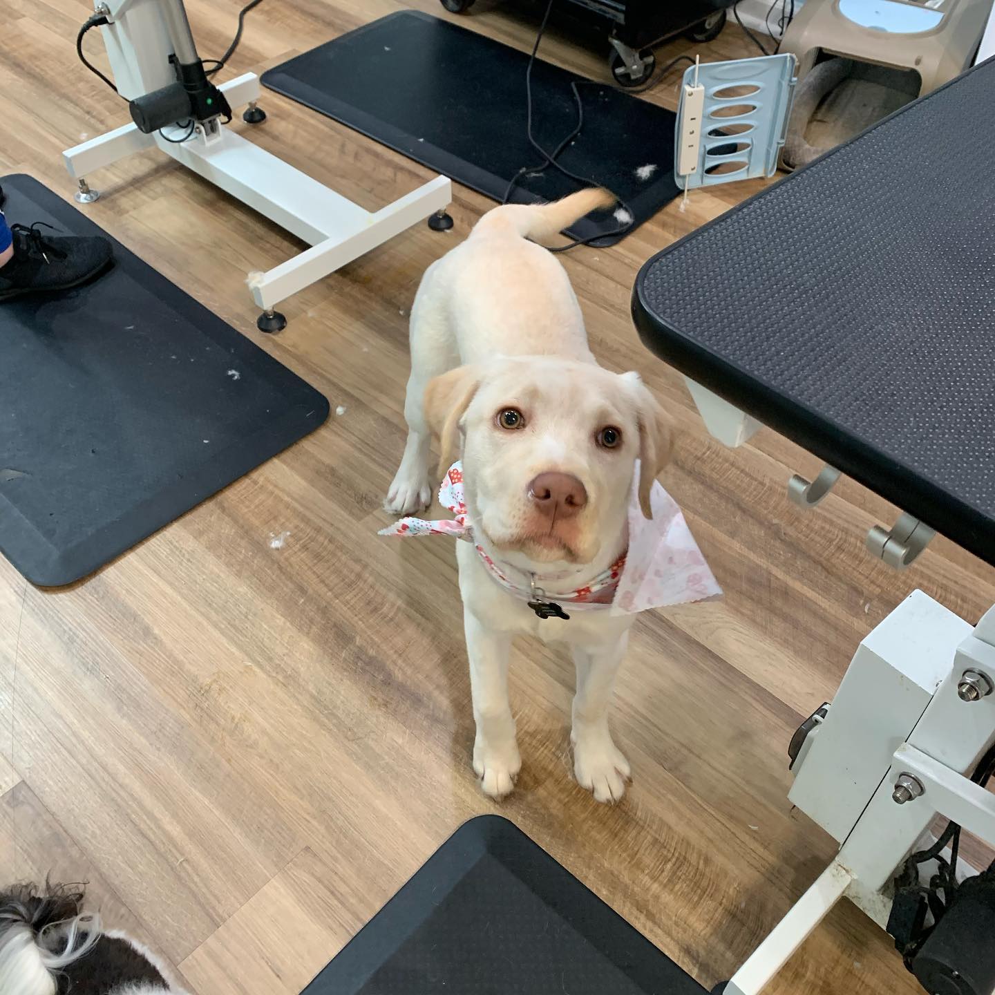 Marshville Bath and Groom Only