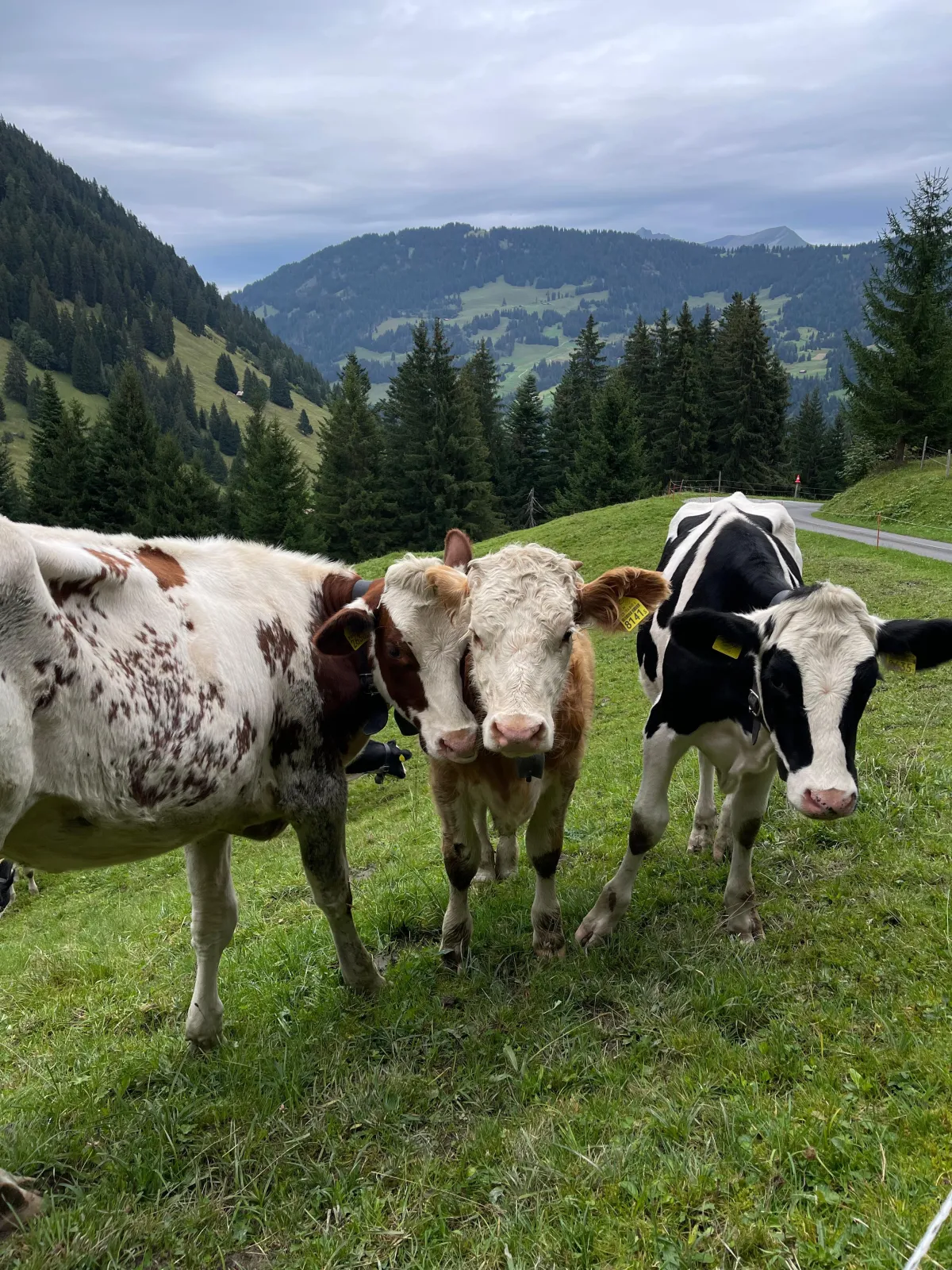 Ausflugsziele