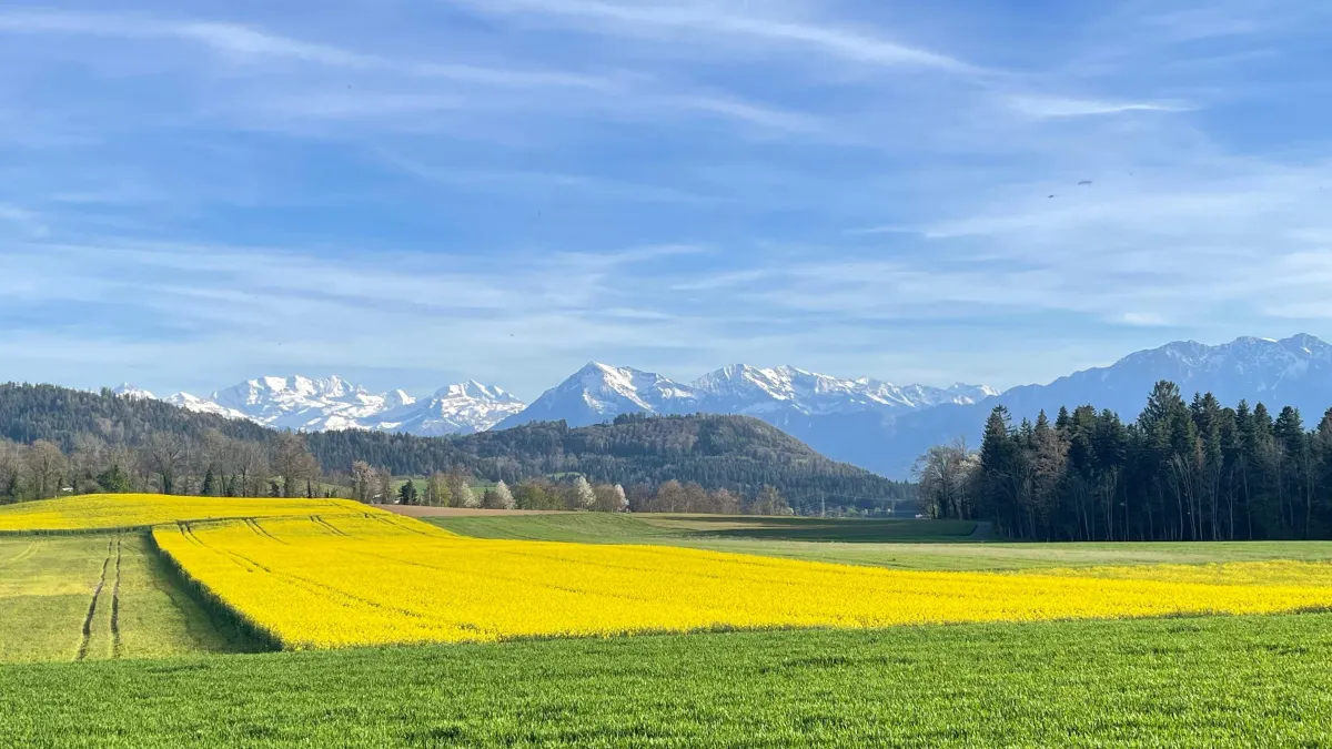 Ausflugsziele