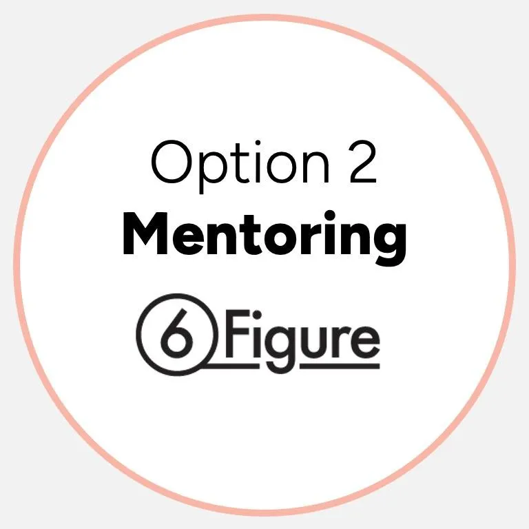 Option 2 - Mentoring