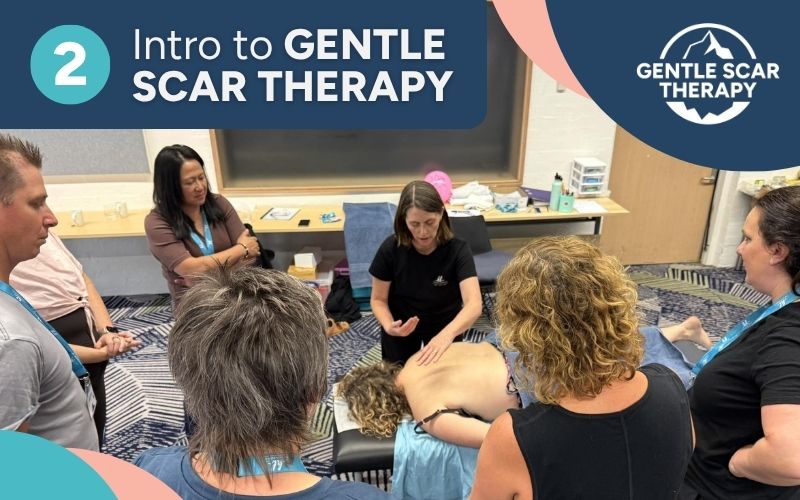 Scar Therapy Workshop