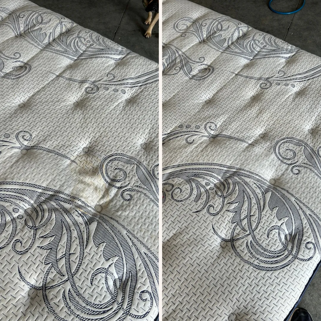 Upholstery Cleaning Sioux Falls