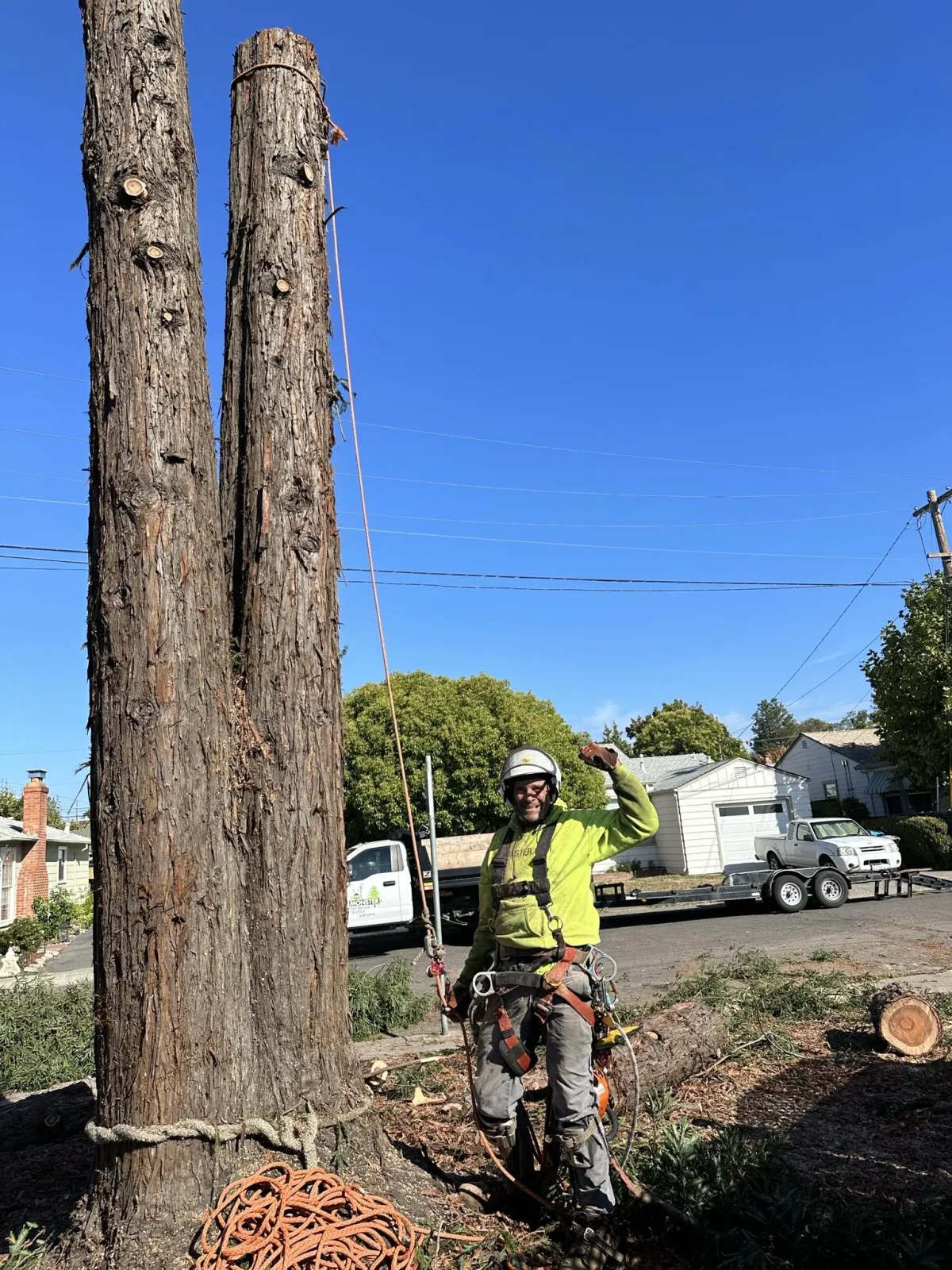 Alex Miura, owner of A&J Yard Service cutting down a tree