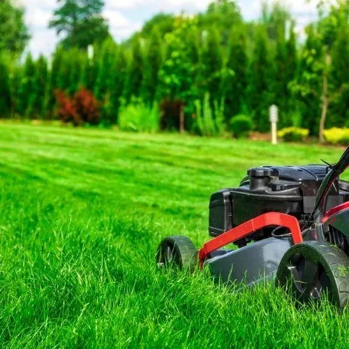 mowing the lawn for a client in Santa Rosa