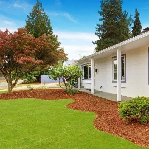 front of the house landscaping renovation in sonoma county