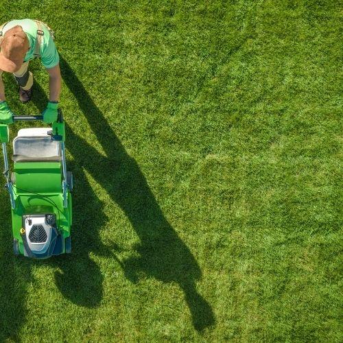 mowing and doing intensive lawn care in Petaluma