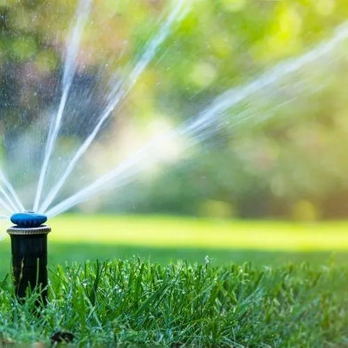 sprinkler firing water to grass for a field in Petaluma