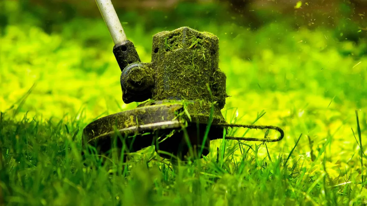 landscaping and installation Sebastopol, CA — crews installing plants and drip lines — A & J Yard Service
