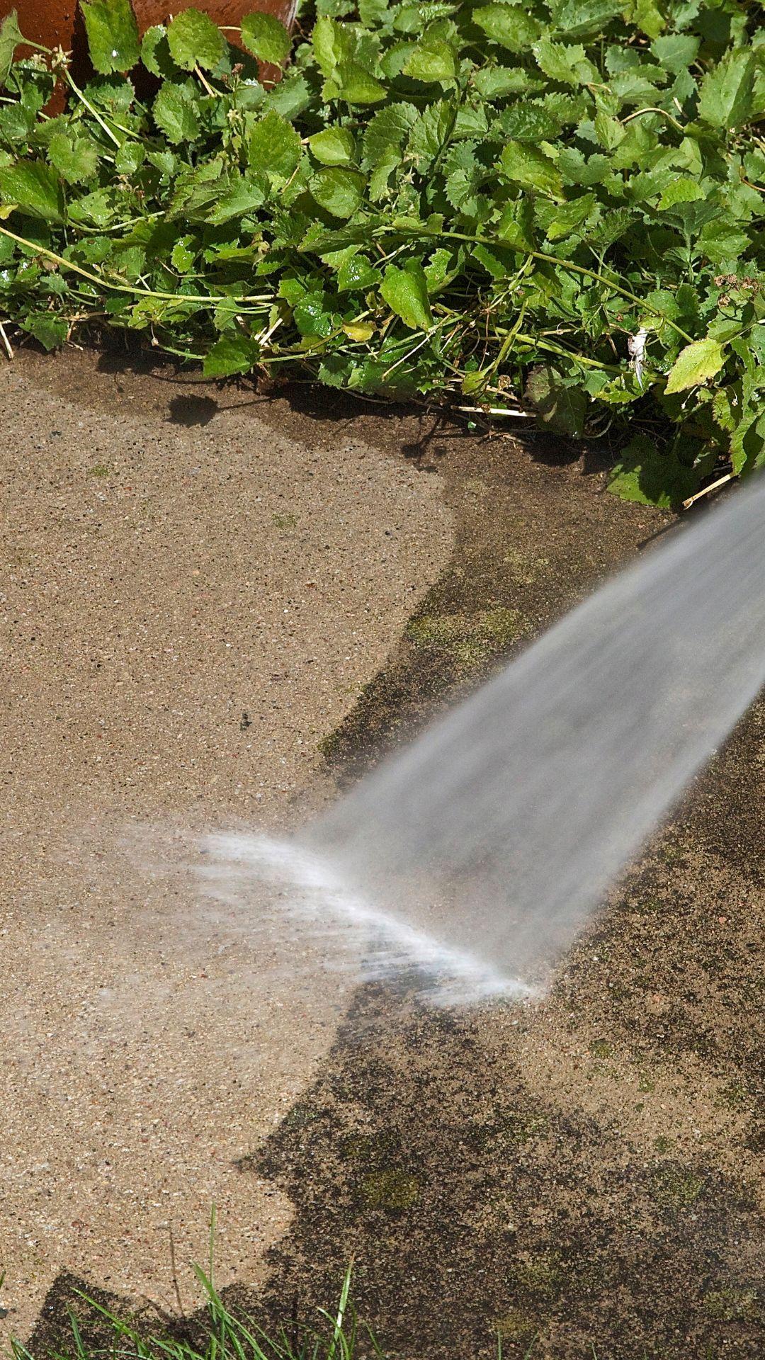 pressure washing a driveway path in sonoma county