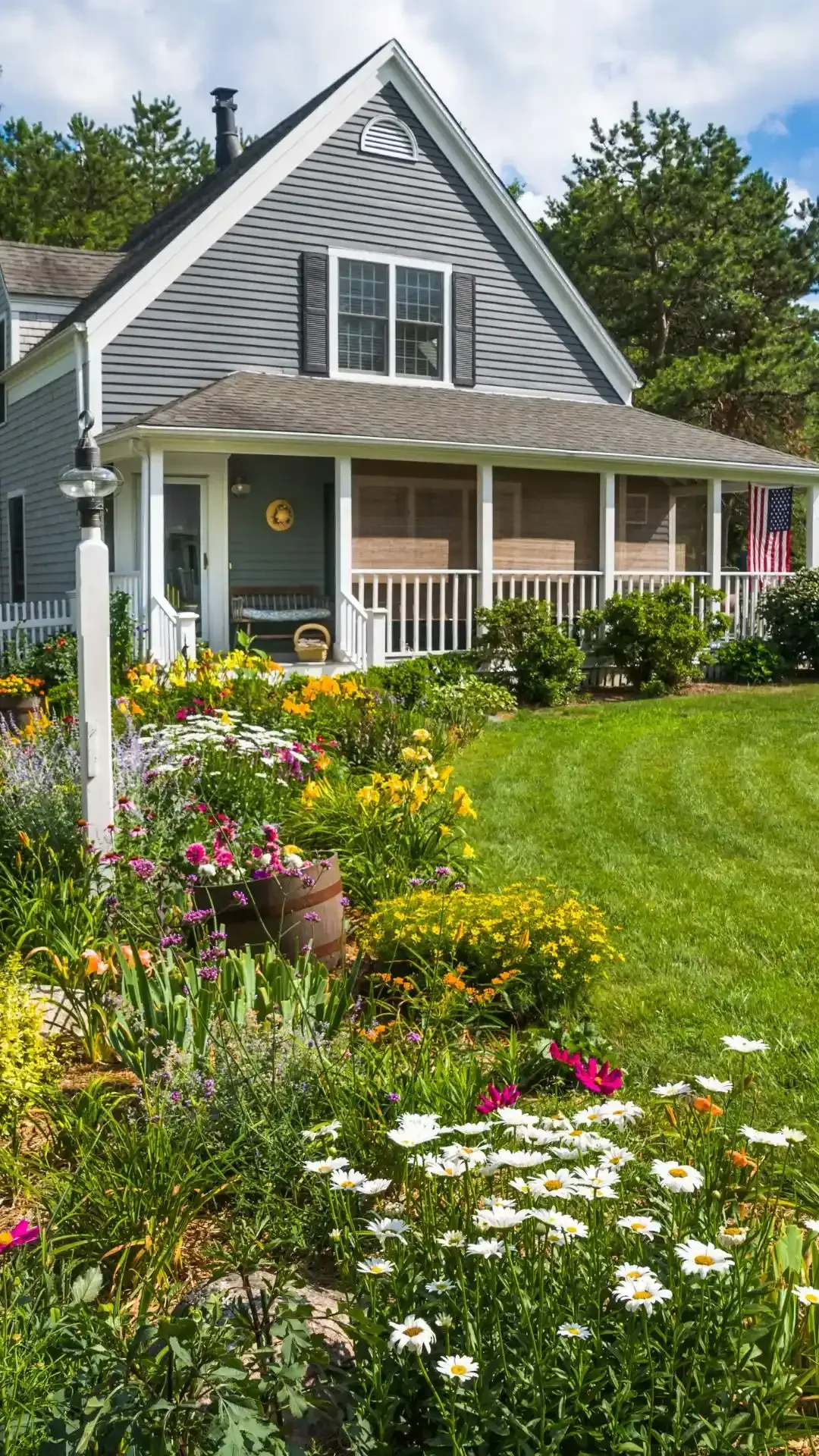 perfectly cut and stripped lawn in Novato