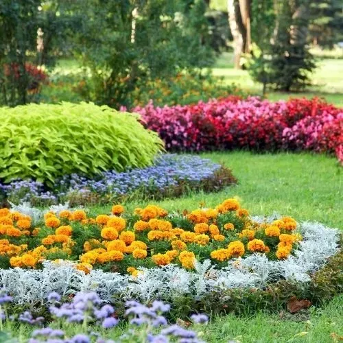 fresh mulch image