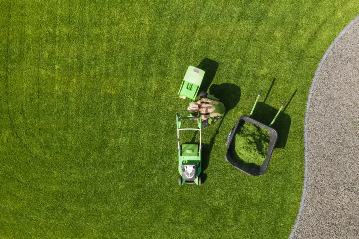 landscaping and installation Santa Rosa, CA — crews installing plants — A & J Yard Service