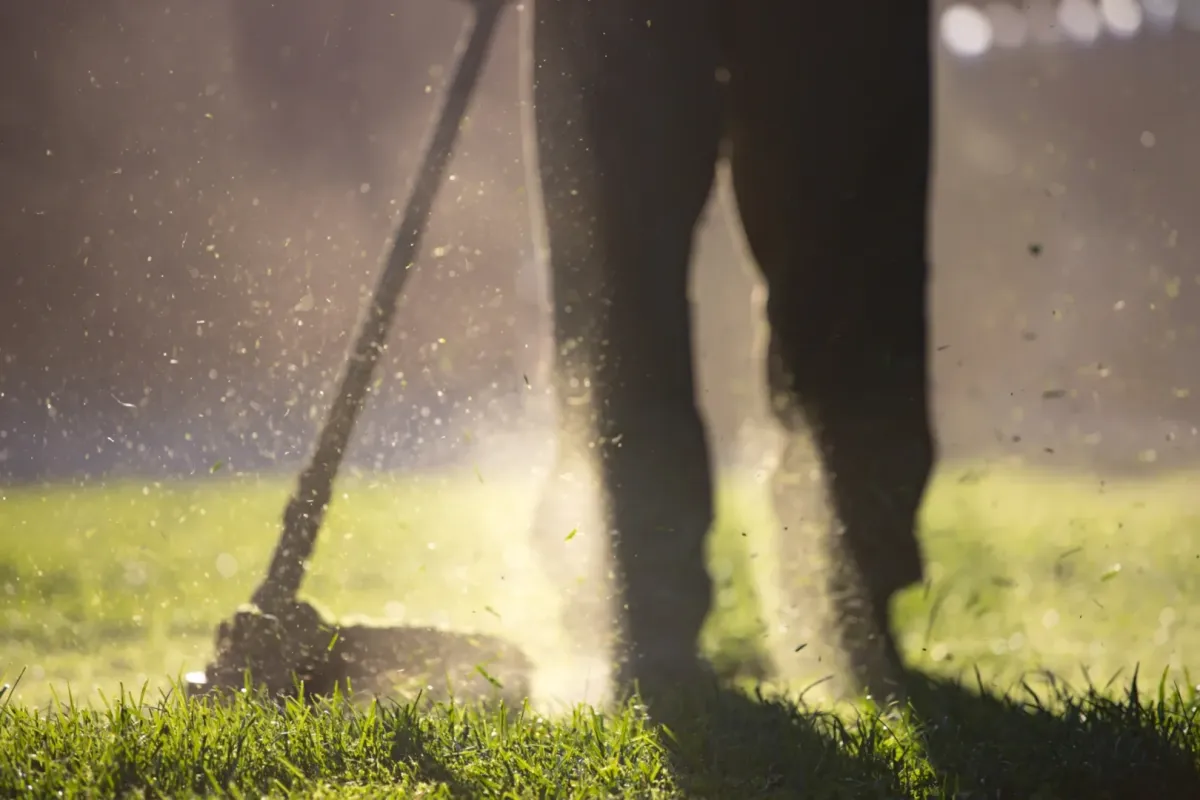 landscaping services Santa Rosa — tidy drought-smart yard — A & J Yard Service
