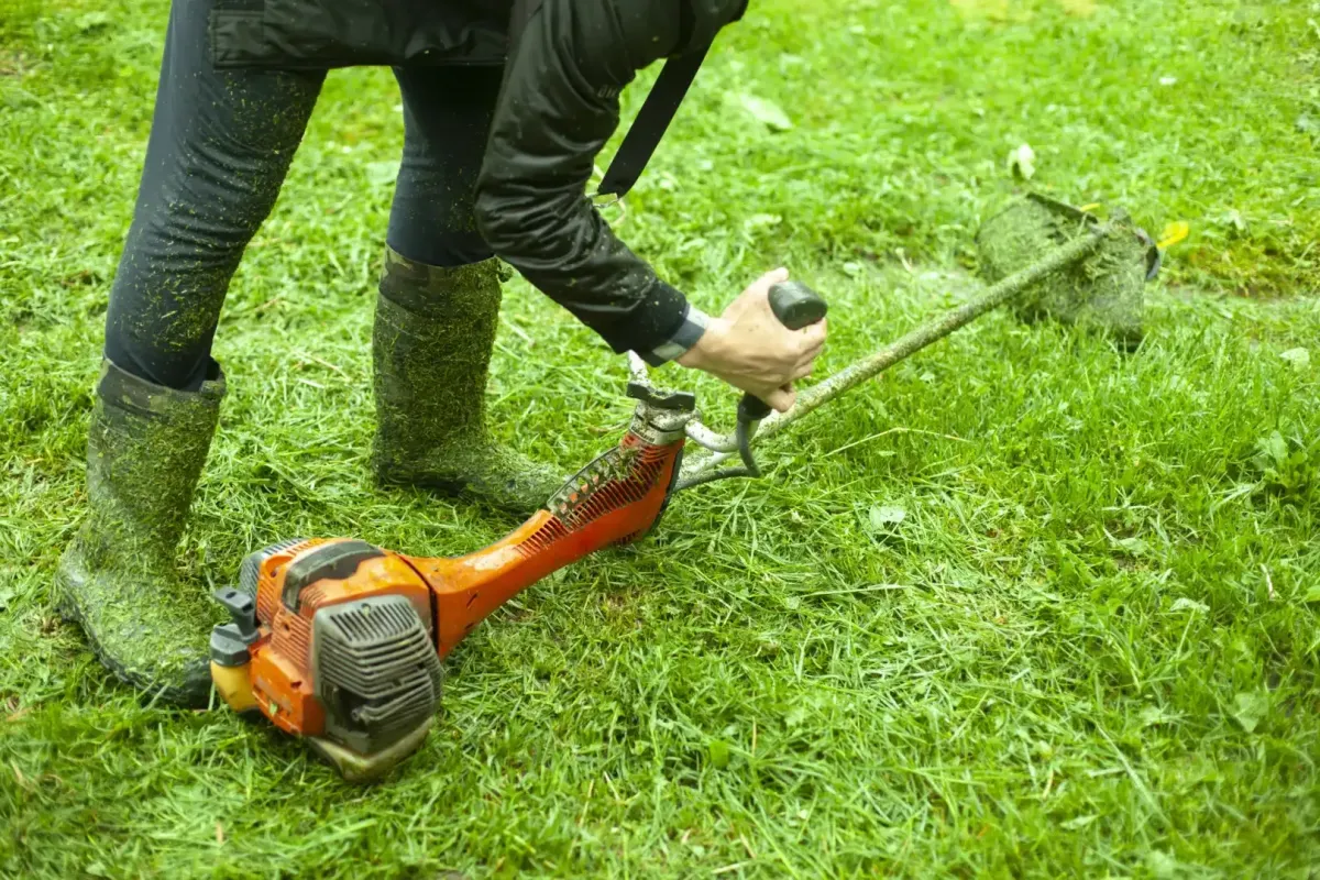 landscaping and installation Santa Rosa, CA — crews installing plants — A & J Yard Service