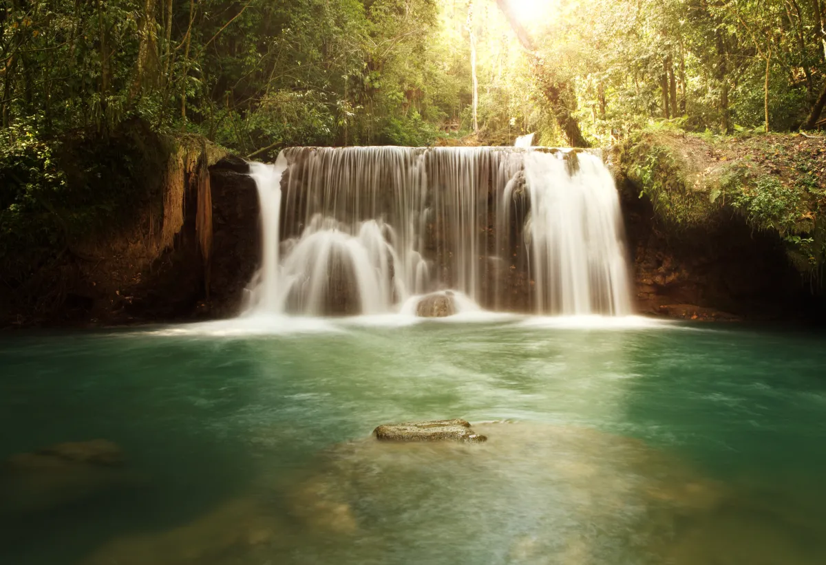 a person reading a book on a bed