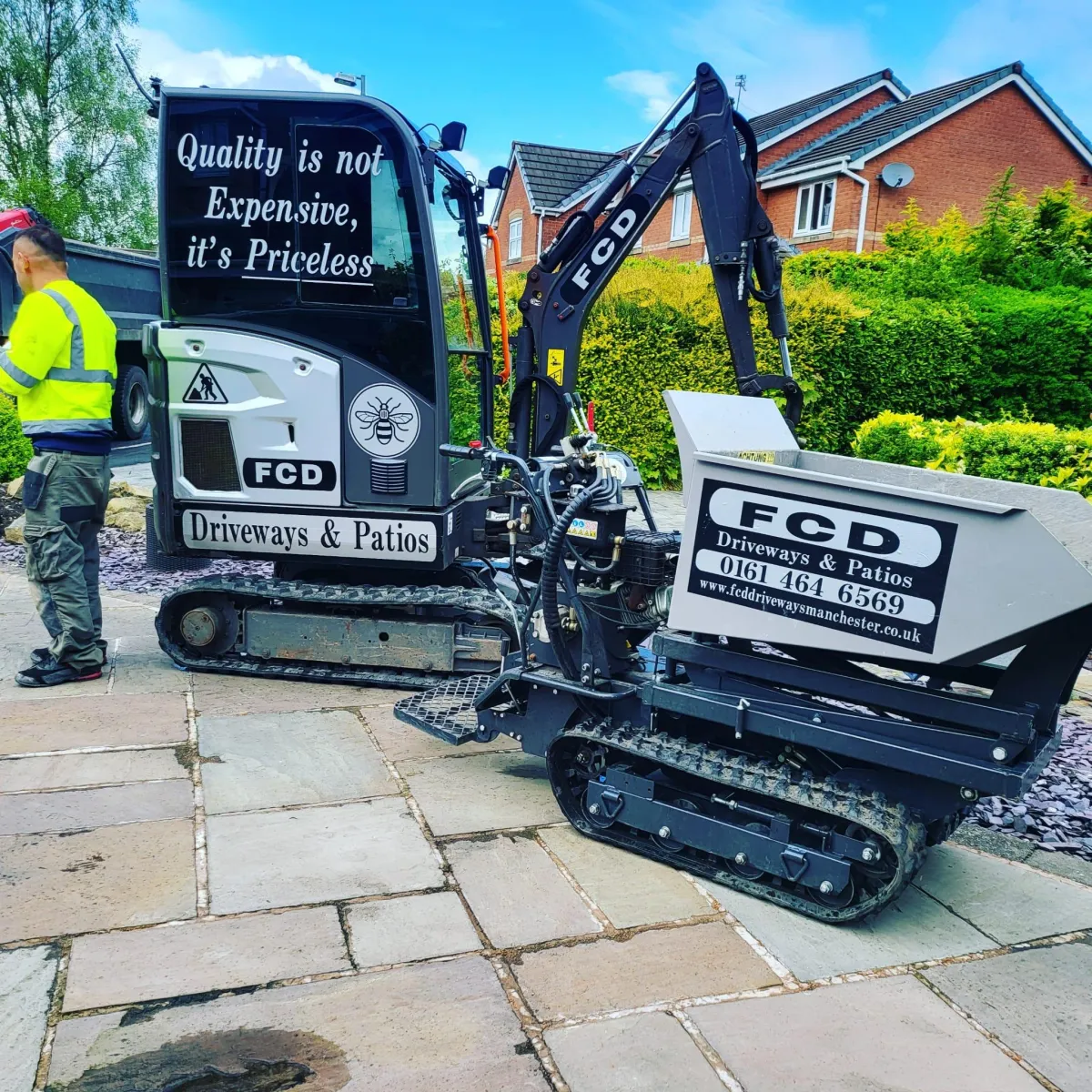 Large tree with exposed roots on mossy hill.
