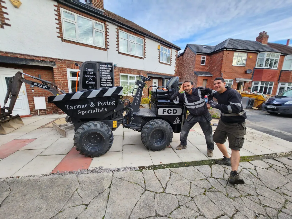 black car parked beside green trees during daytime