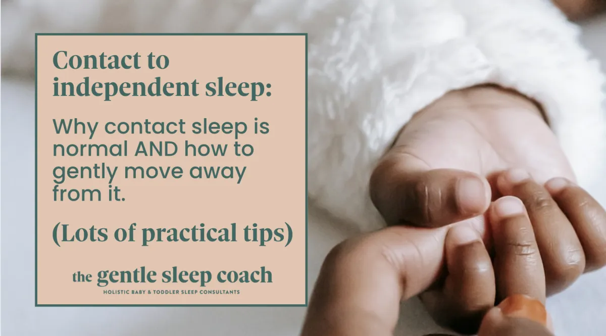 Contact to independent sleep: Why contact sleep is normal AND how to gently move away from it.