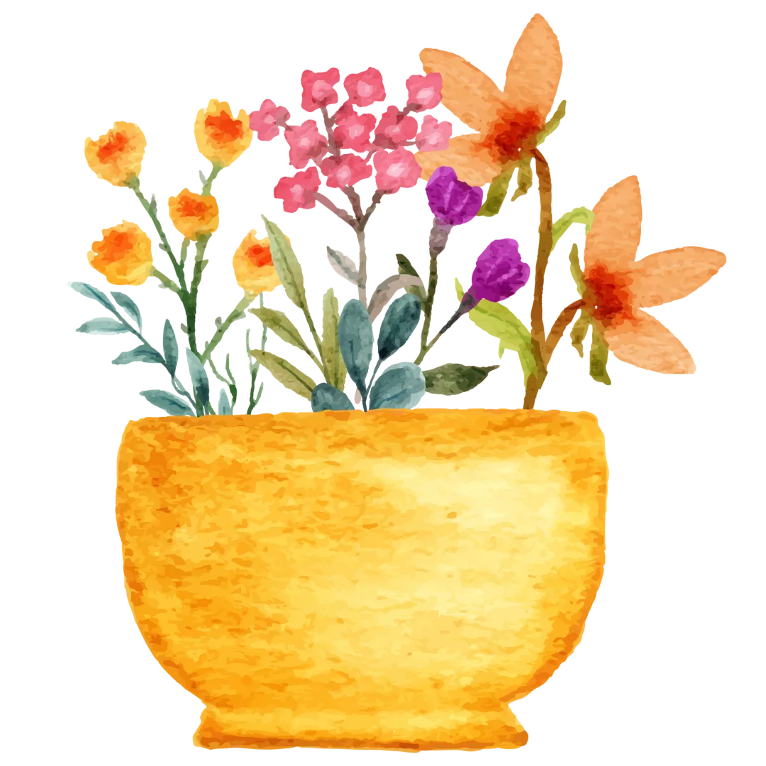 plant2