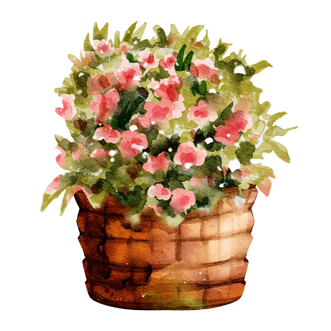 plant3