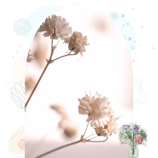 Soft light and delicate forms representing ease and no performance required