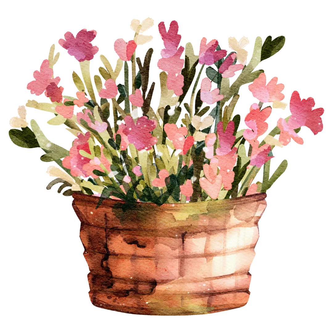 plant1