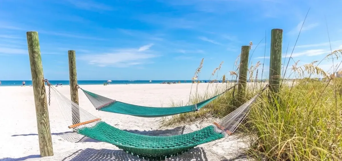 Top Scenic Drives Around St. Petersburg, FL You Need to Take With a Rental Car | MPC Car Rentals – St. Petersburg, FL 🚗🌴