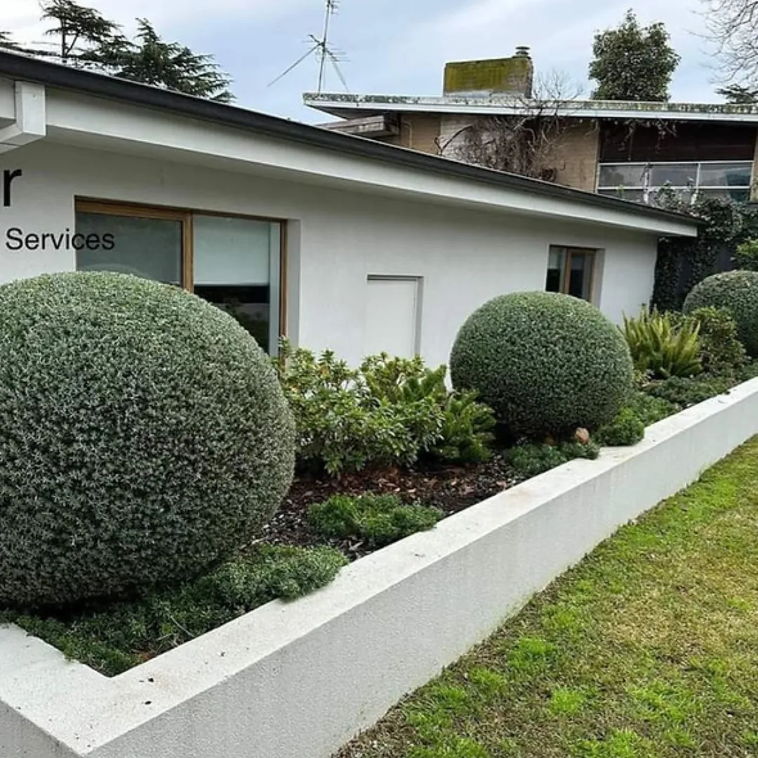 Hedge trimming Melbourne Northern Suburbs