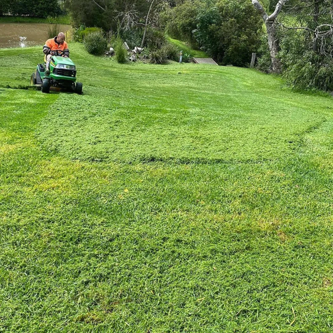 Ride on mowing Melbourne Northern Suburbs