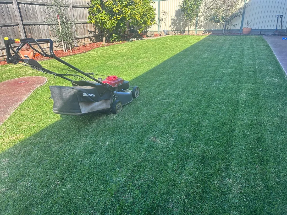 Lawn mowing service after result Epping VIC front yard