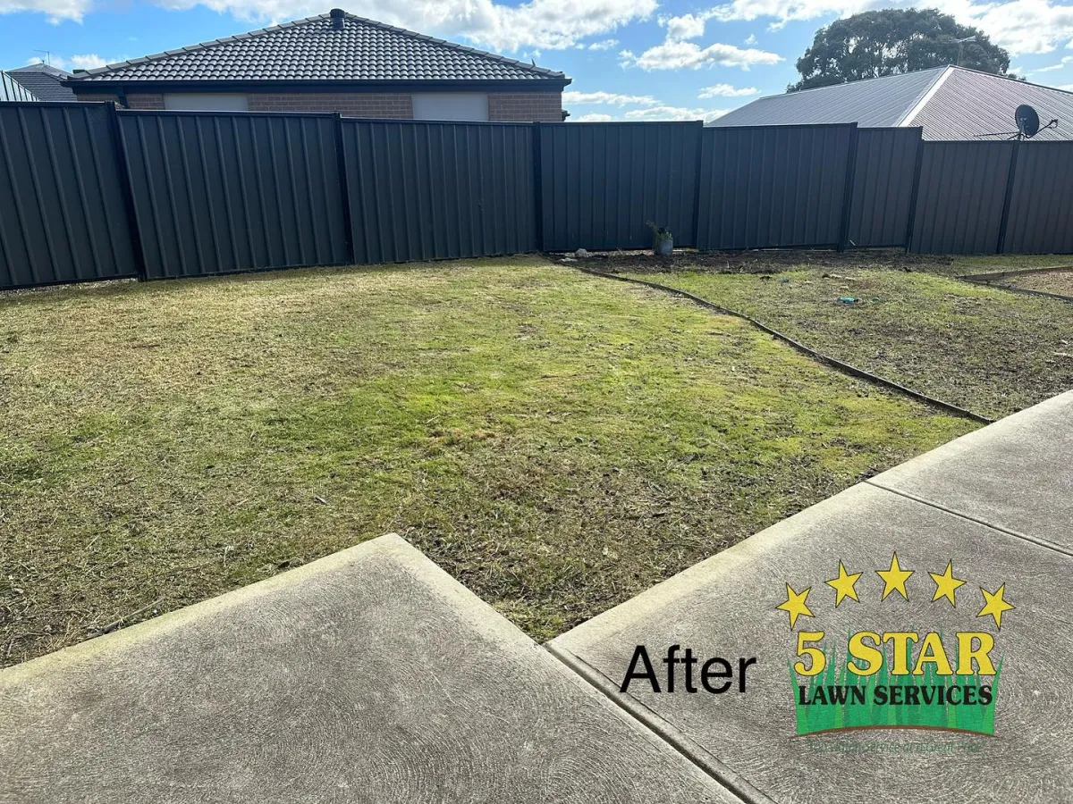 Lawn mowing and yard clean up Melbourne Northern Suburbs backyard