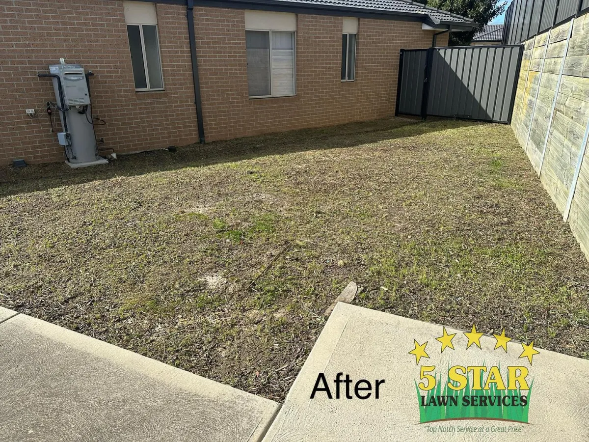 Yard clean up and lawn mowing Melbourne Northern Suburbs side yard