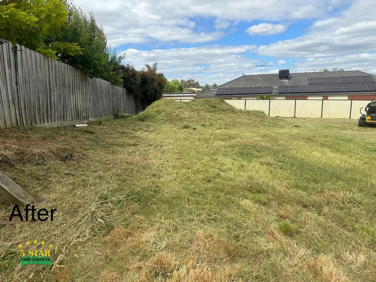 commercial lawn mowing eastern suburb sydney