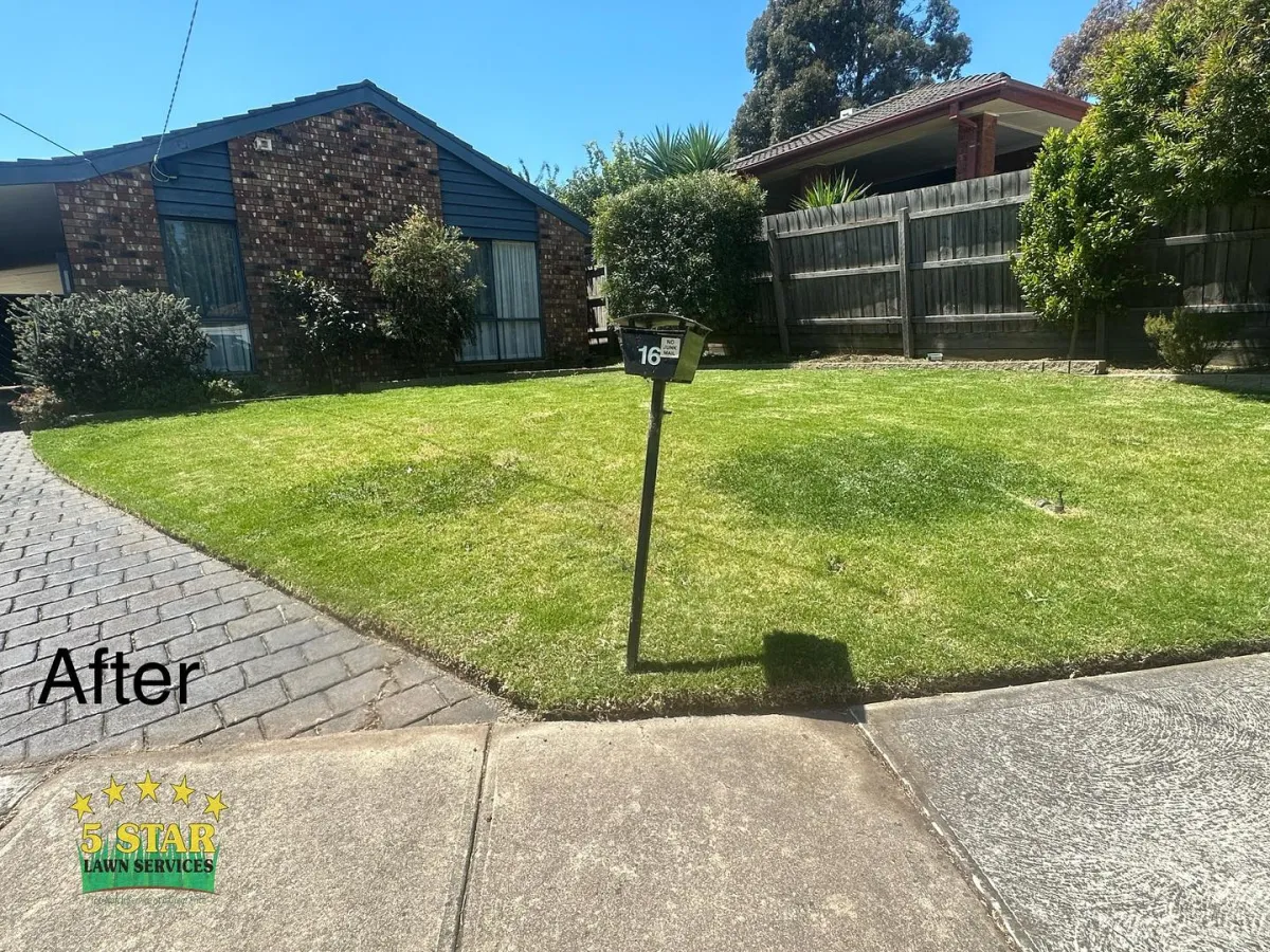 Lawn mowing service after result Melbourne Northern Suburbs front yard