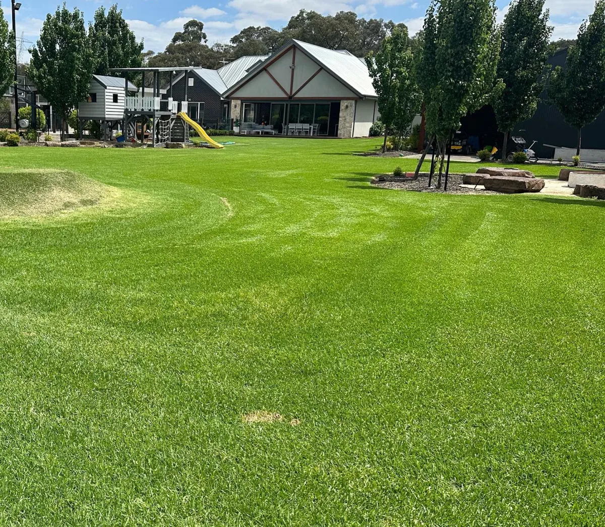 Lawn mowing and garden maintenance Melbourne Northern Suburbs