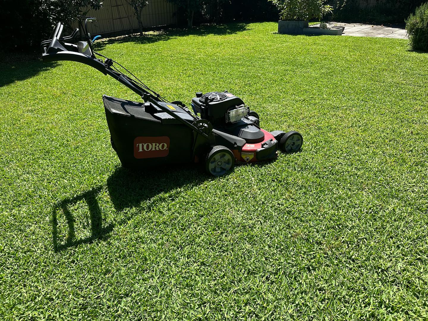 Yard clean up and lawn mowing Epping VIC side yard