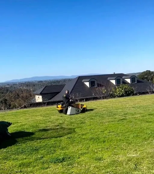 Lawn Mowing Sydney – Eastern Suburbs Lawn Service