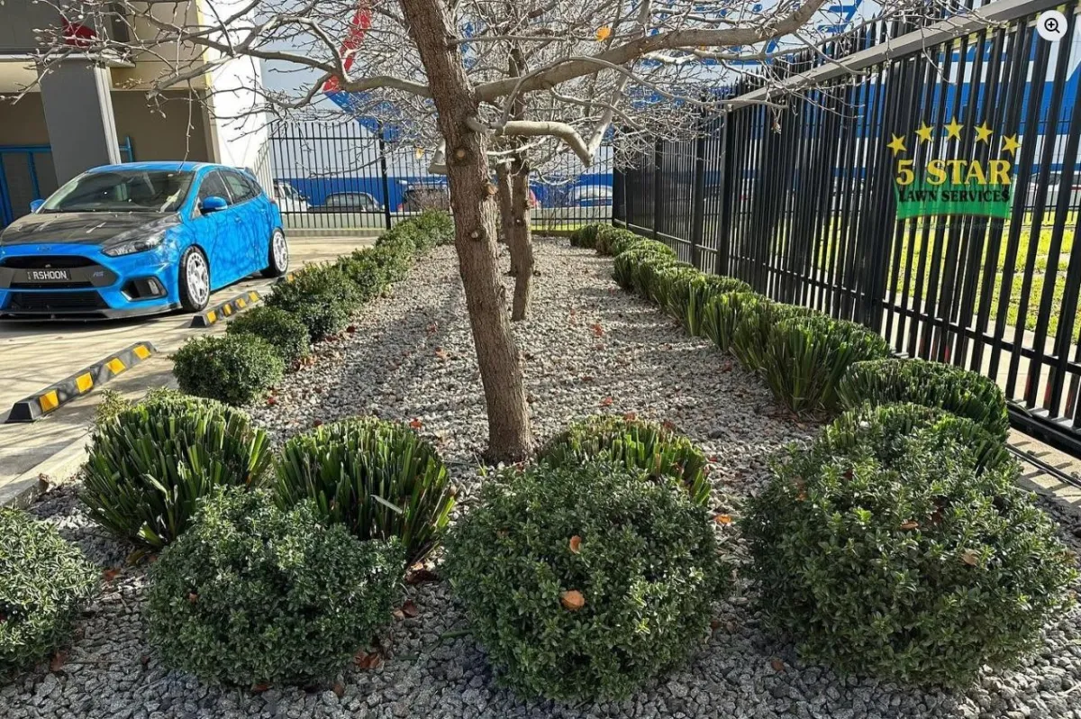 commercial hedge trimming melbourne