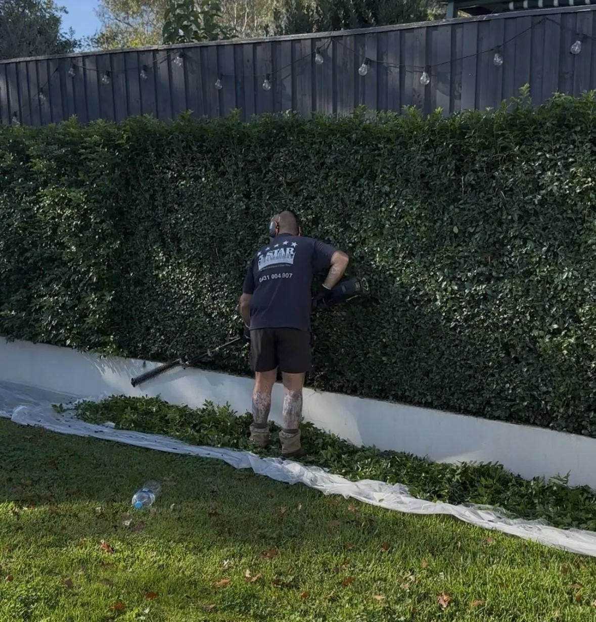 hedge trimming melbourne residential property