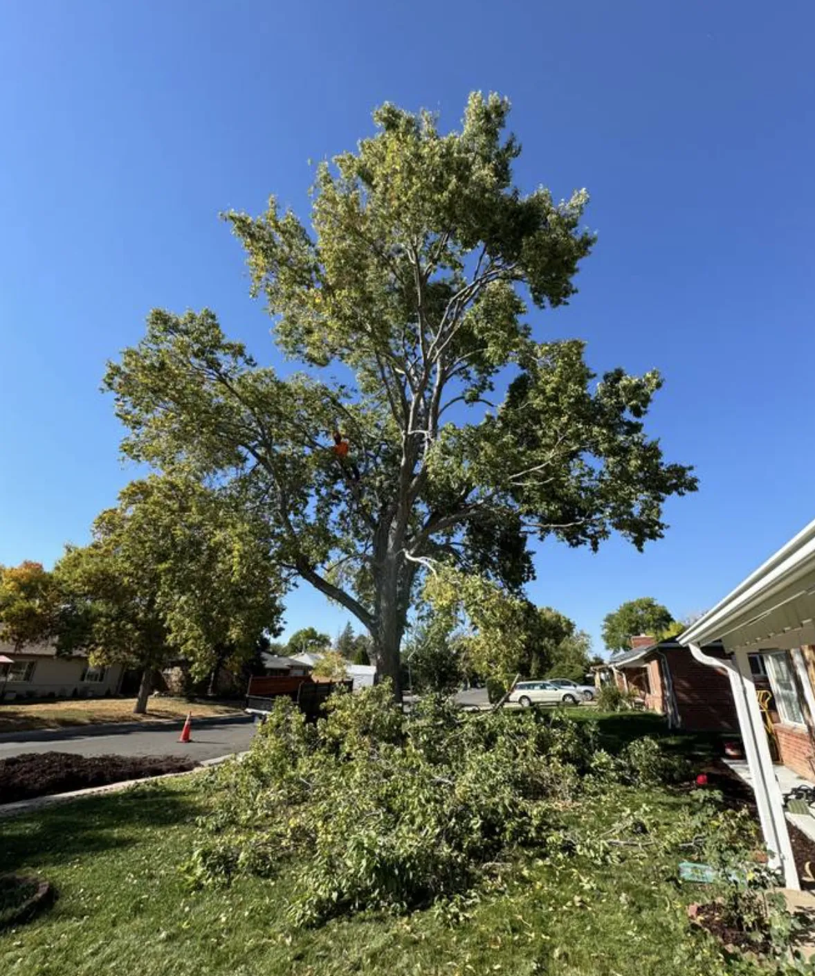 Concrete Contractor in Ventura County
