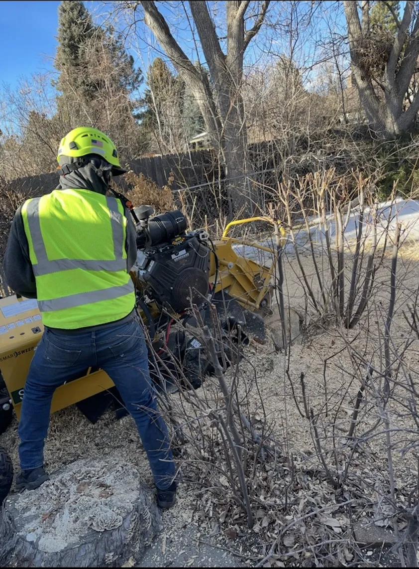 Landscape Contractor In Ventura County