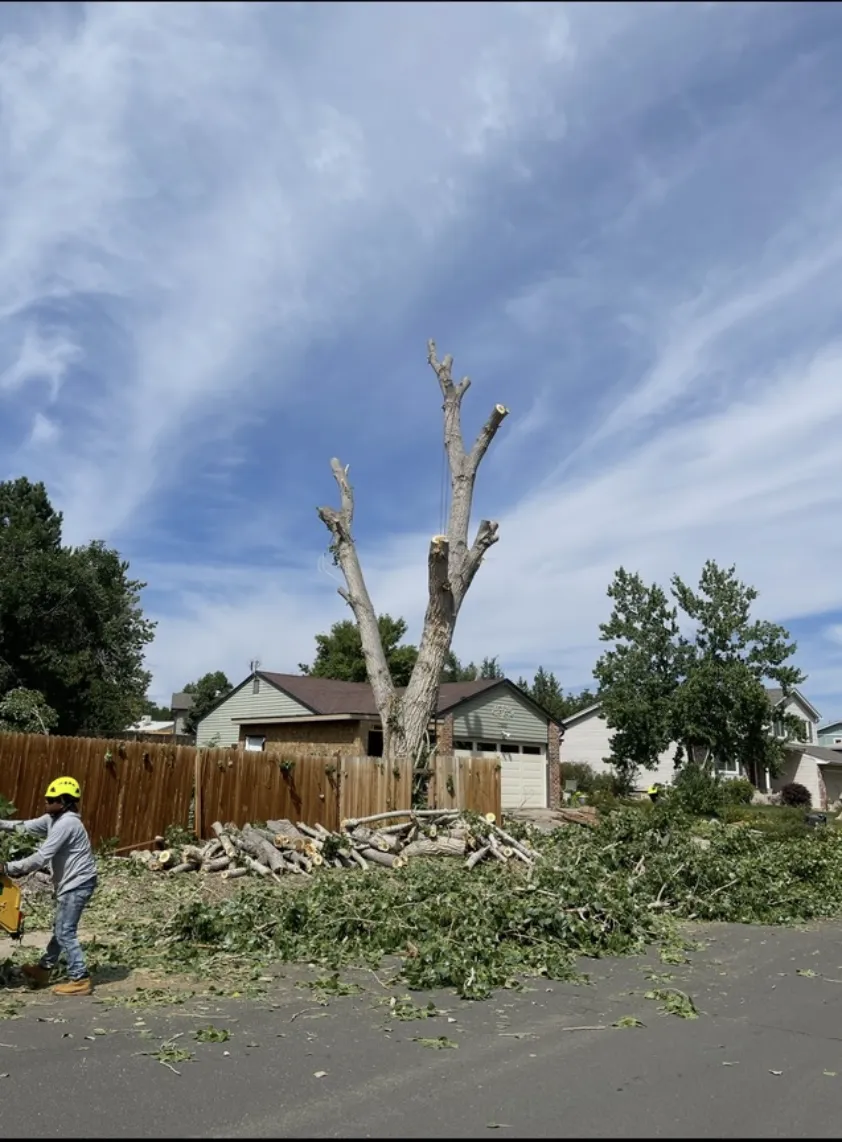 Landscape Contractor in Ventura County