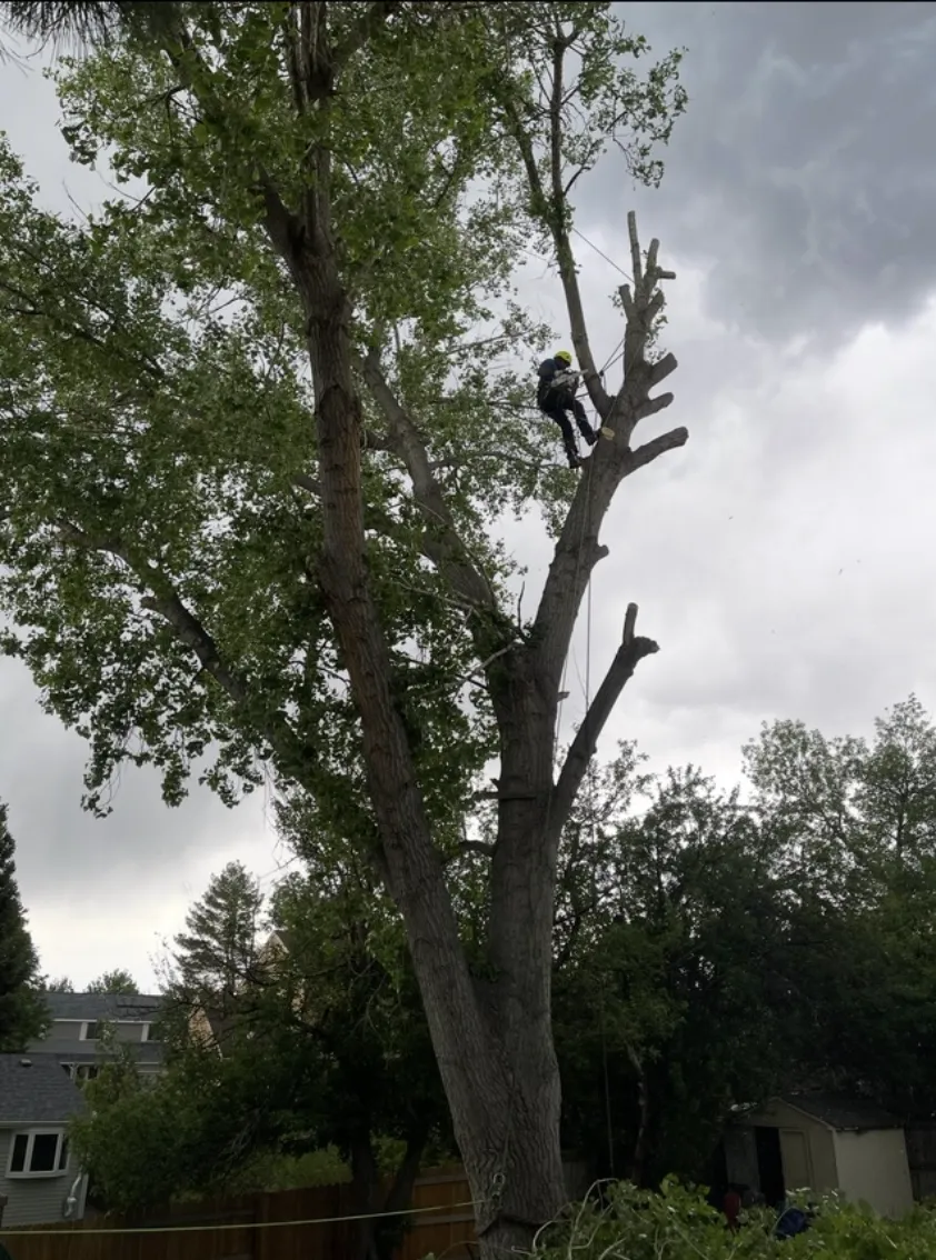 Concrete Contractor in Ventura County