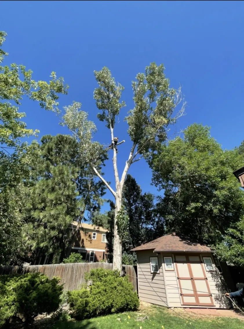 Concrete Contractor in Ventura County