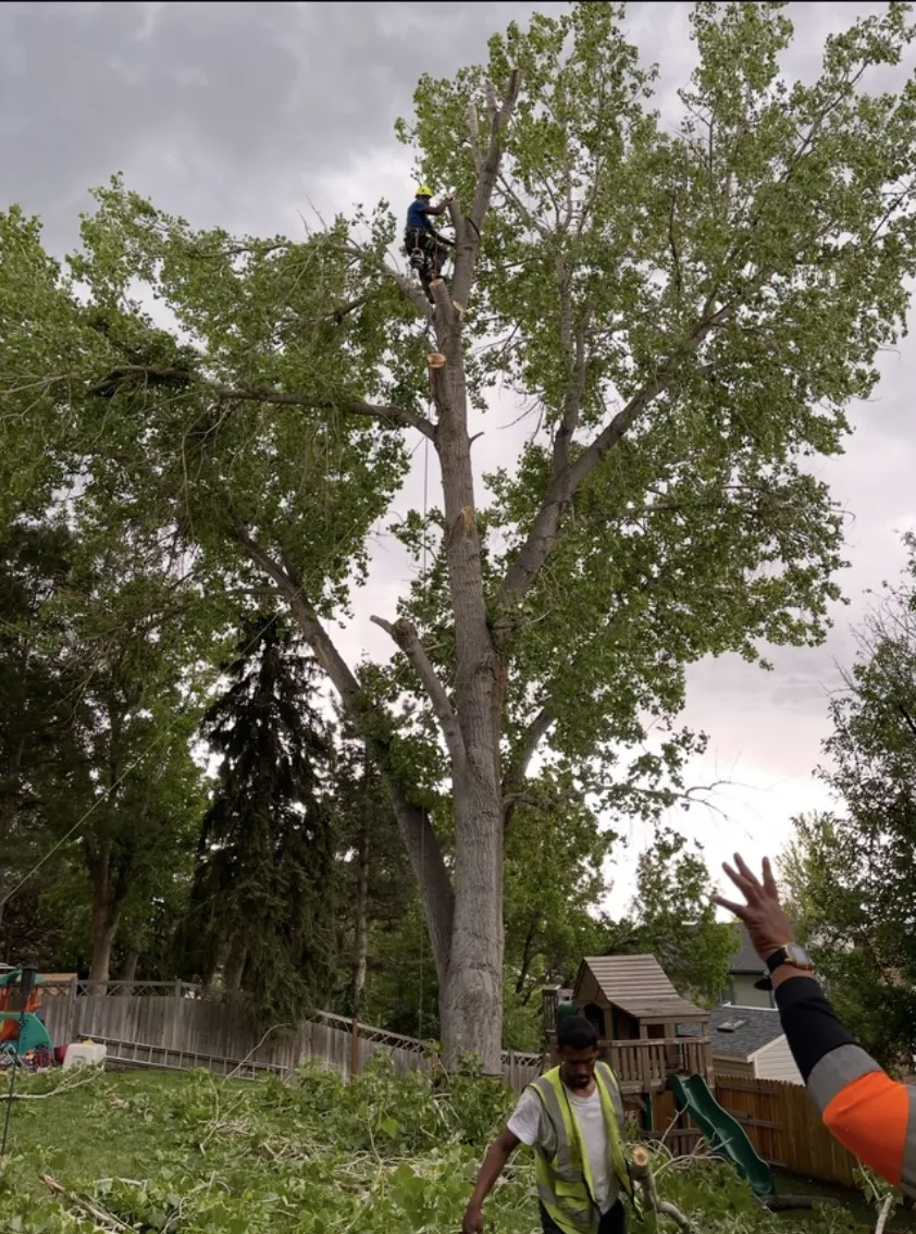 Concrete Contractor in Ventura County