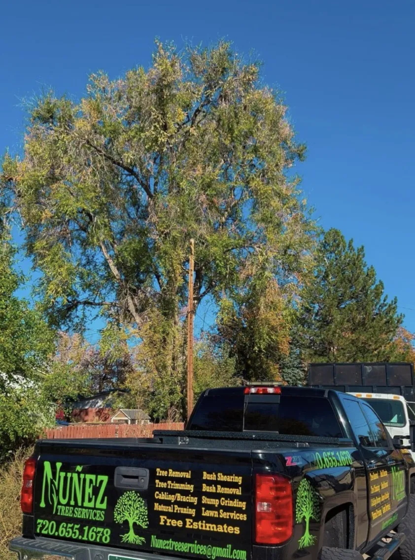 Concrete Contractor in Ventura County